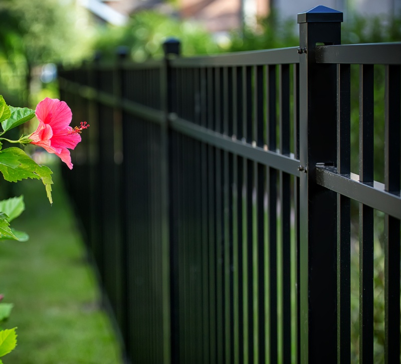 Aluminum fence and hibiscus flower greeley co