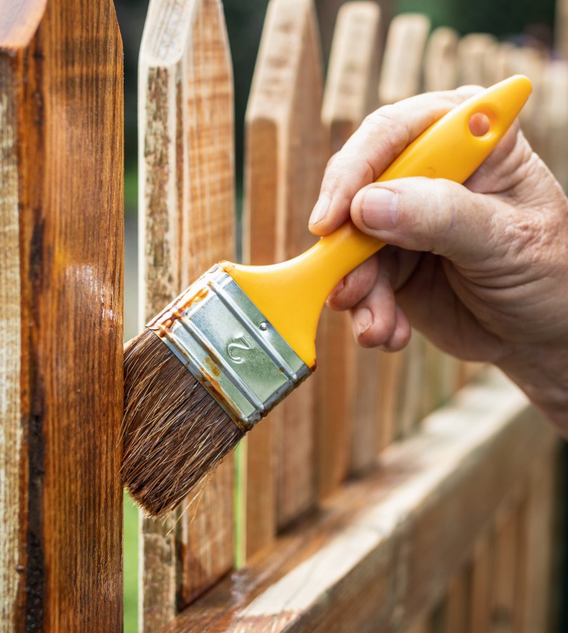 Painting protective varnish on wooden picket fence at backyard greeley co