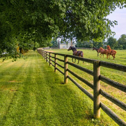 horse farm fencing greeley co