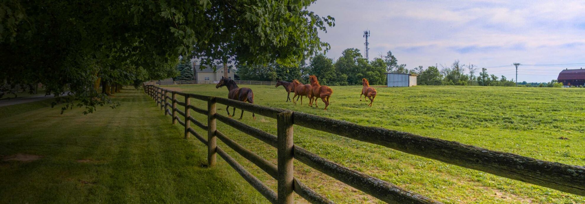 horse farm fencing in greeley co